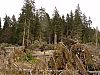 DSC06071.jpg